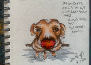 Funny Face Dog