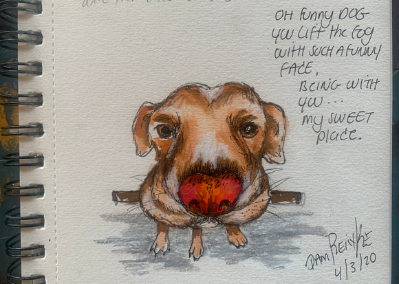 Funny Face Dog