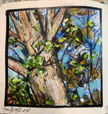 5 week Sketchbook Magic class for Beginners and Intermediates Sept 10- Oct 8 Weds 9-11:00