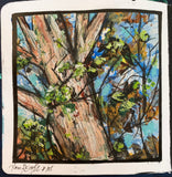 5 week Sketchbook Magic class for Beginners and Intermediates Sept 10- Oct 8 Weds 9-11:00