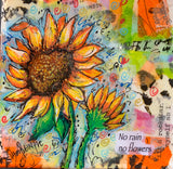 6 x 6 Canvas Collage with Resin- Hummingbird